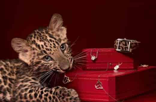 真力时手表维修地址